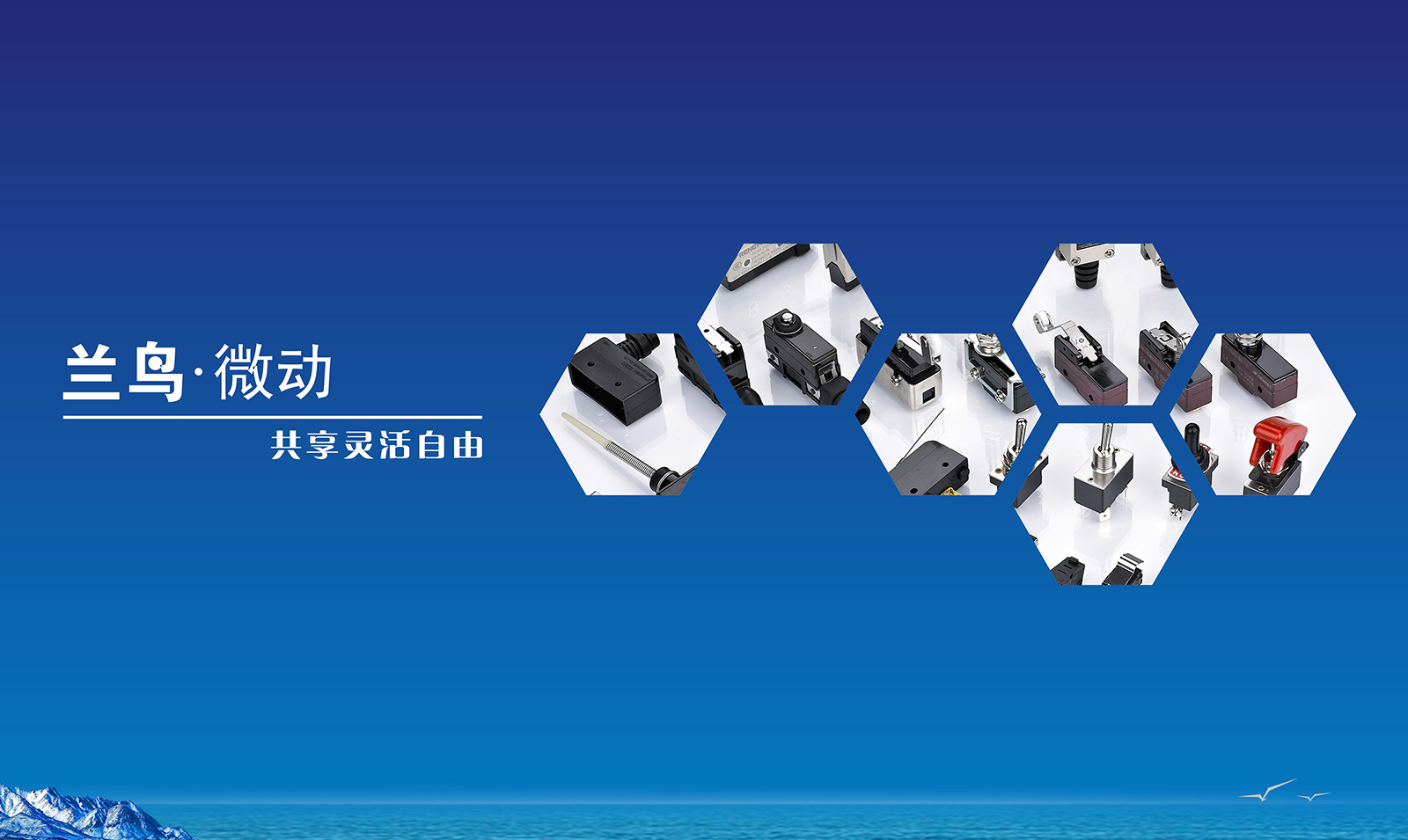 微動(dòng)開關(guān)·工控開關(guān)專業(yè)制造商